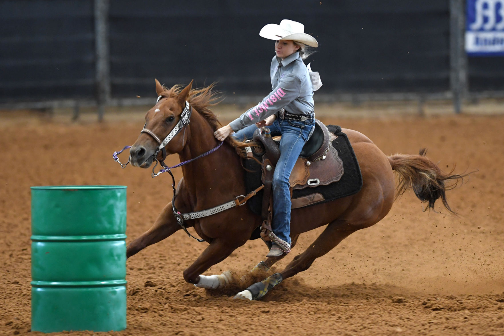 Texas State 4-H Horse Show